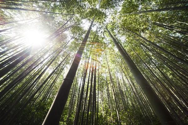 高性價(jià)比保險(xiǎn)：少花錢的秘訣與方案推薦