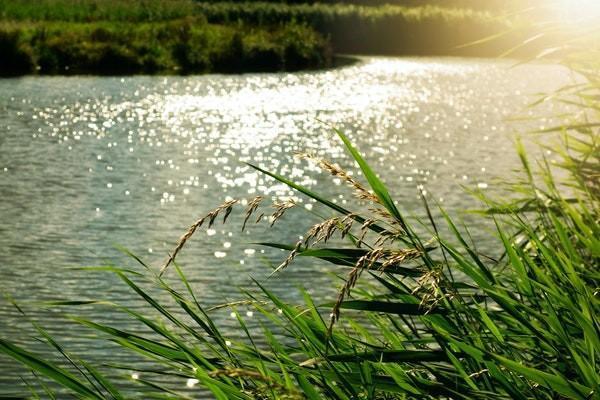 平安智富人生a萬能保險詳解是什么？有什么特點(diǎn)？