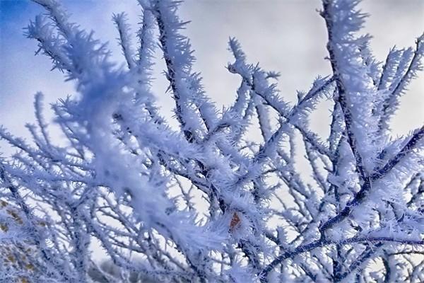 愛心人壽樂養(yǎng)多3號養(yǎng)老年金險投保條件是什么？現(xiàn)金價值如何？