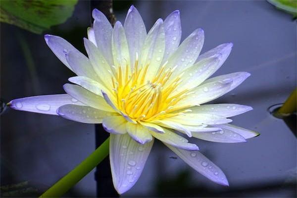 2024年養(yǎng)老金計(jì)算全解析：不同類(lèi)型養(yǎng)老保險(xiǎn)退休收入是多少？