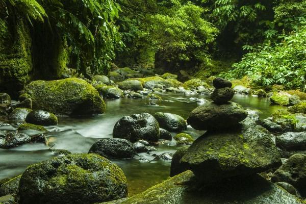 養(yǎng)老年金險(xiǎn)與增額終身壽險(xiǎn)：如何為養(yǎng)老做好規(guī)劃？