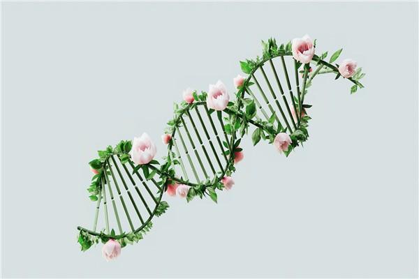友邦愛伴航重疾險特點有哪些？哪里可以買？