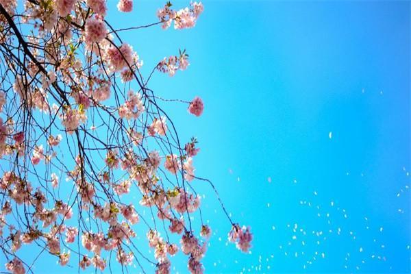 年金險(xiǎn)有哪些優(yōu)點(diǎn)？有哪些缺點(diǎn)？