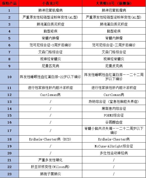大黃蜂10號(hào)旗艦版與君龍小青龍2號(hào)