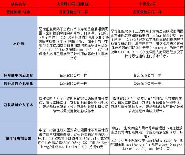 大黃蜂10號(hào)旗艦版與君龍小青龍2號(hào)