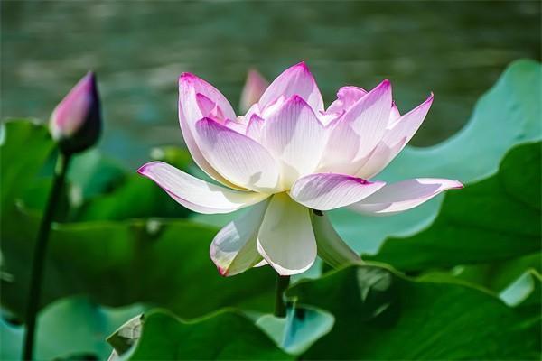 15年社保2024年退休能領(lǐng)多少錢？深度解析來了！