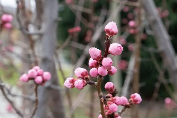 泰康退保險(xiǎn)流程