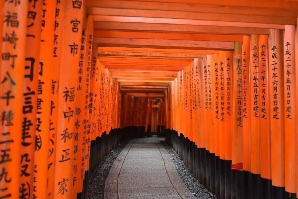 農(nóng)銀愛(ài)守護(hù)交3年可退保么