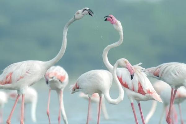 個(gè)人如何買養(yǎng)老保險(xiǎn)金