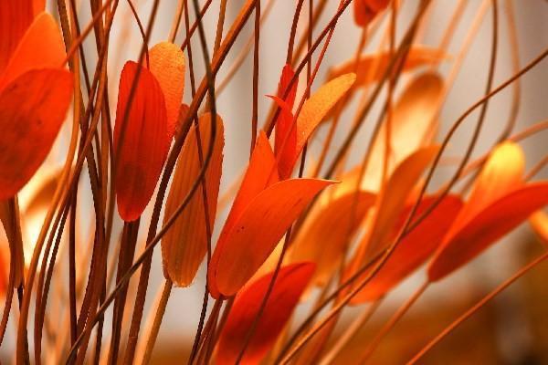 今年養(yǎng)老保險一年交多少錢2024？怎么交最劃算？