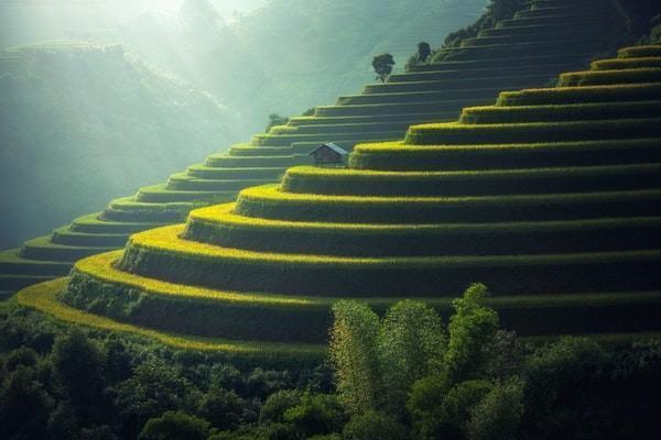 清遠(yuǎn)惠民保怎么理賠？可以理賠多少錢？
