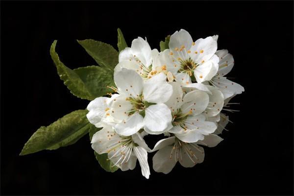 短期投資理財(cái)產(chǎn)品種類(lèi)有哪些？如何選擇？