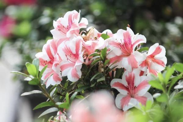 友邦保險(xiǎn)住院報(bào)銷材料