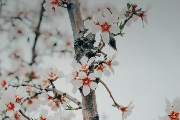 泰康百萬醫(yī)療保險每年需要多少錢？有必要買嗎？
