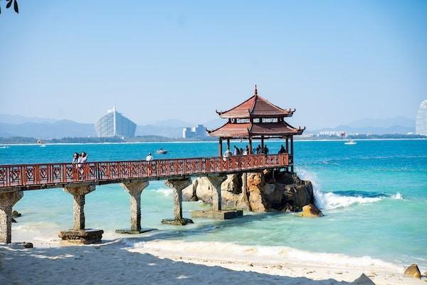 國壽鑫退保能退多少錢？退保流程是什么？
