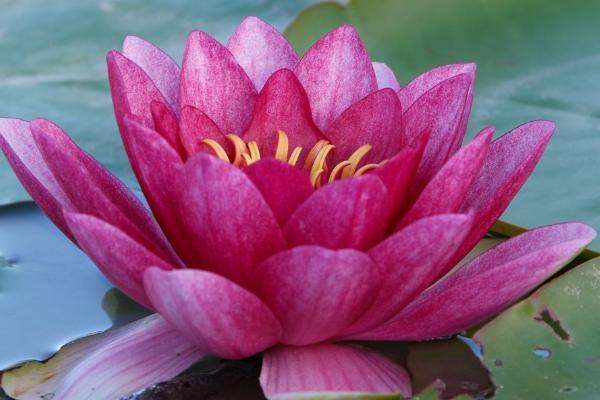 保險(xiǎn)退保一般能退多少本金？退保要準(zhǔn)備哪些資料？