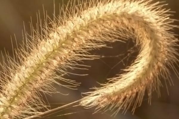 太平退保如何操作？退保要注意什么？
