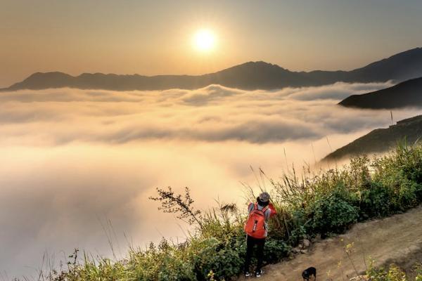 退保分紅的錢(qián)會(huì)退嗎