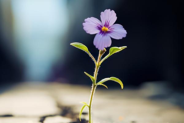 居民養(yǎng)老保險補繳怎么交？補繳劃算嗎？
