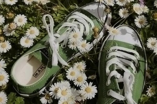 退保需要保單嗎