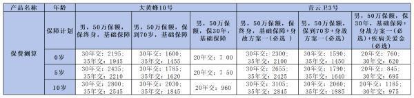 大黃蜂10號和青云衛(wèi)3號深度對比：哪款更適合你家寶貝？