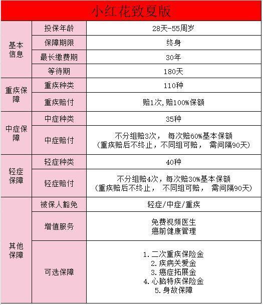 小紅花致夏版重疾險(xiǎn)和君龍龍安心哪個(gè)好？重疾險(xiǎn)該如何選擇？