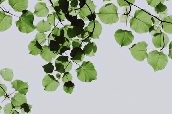 香港保險(xiǎn)安全嗎可靠嗎？怎么買比較好？