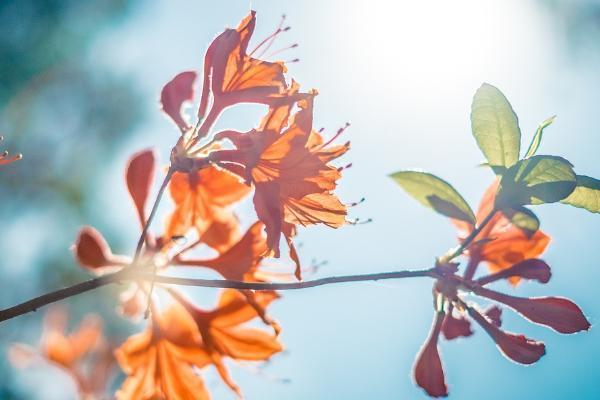 10萬保險(xiǎn)退保損失多少