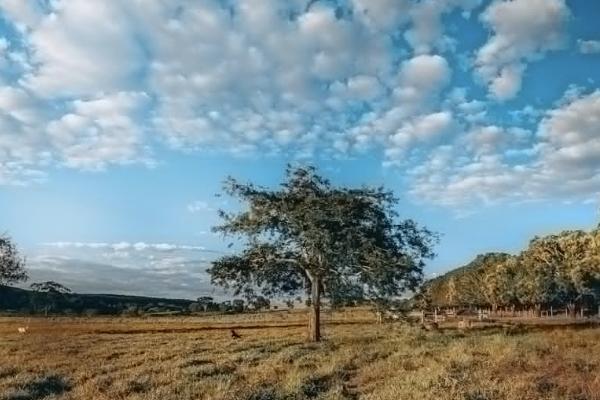 商業(yè)保險(xiǎn)可以退保嗎？退保能拿回多少保費(fèi)？
