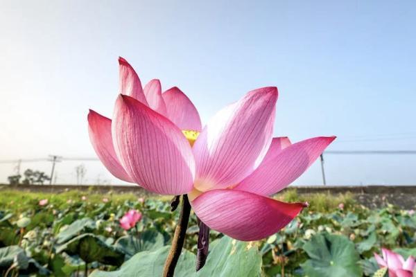 保險交了20年退保能退多少錢？流程是什么？