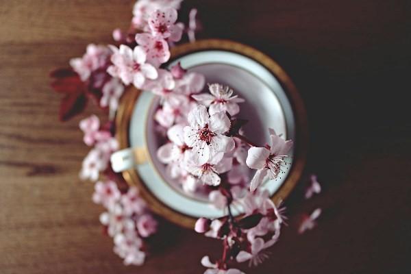 交了三年的保險(xiǎn)15000退保可以退多少？保險(xiǎn)如何全額退保？
