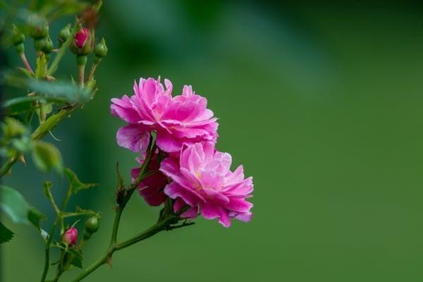 買(mǎi)香港保險(xiǎn)虧錢(qián)嗎？買(mǎi)香港保險(xiǎn)好處有哪些？