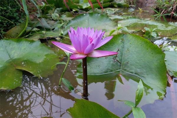 重疾險(xiǎn)保額10萬夠用嗎？從這五個(gè)方面來看