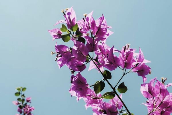 螞蟻保險(xiǎn)到期能退保費(fèi)嗎？要如何退保？