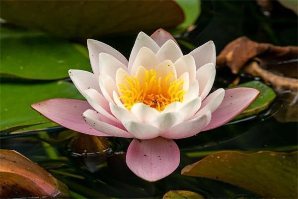 甘肅按60%交15年能領(lǐng)取多少養(yǎng)老金？附帶養(yǎng)老金計(jì)算公式