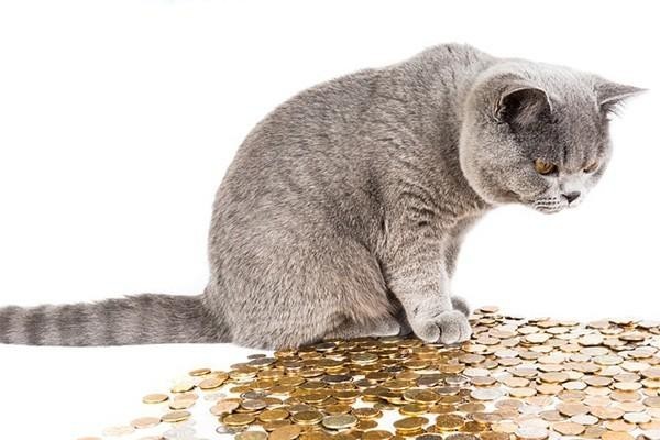 欠招商銀行二萬逾期三個月會起訴嗎？逾期后果有哪些？