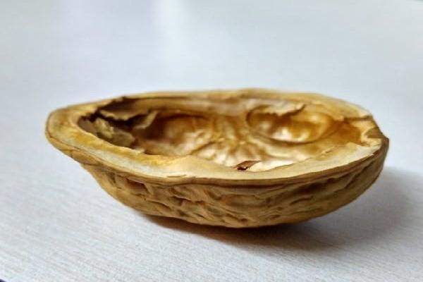 不去香港買保險7大理由有哪些？詳細解釋~