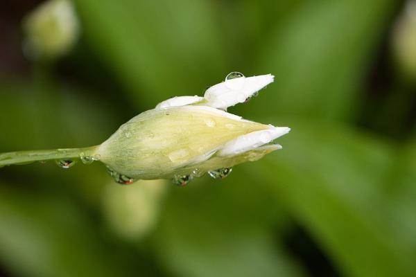深圳社保費過了25號還能繳納嗎？需要繳納多久時間？