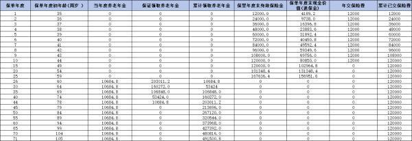 陽光壽C款養(yǎng)老年金險怎么樣？深度解析，為你揭示這款熱門產(chǎn)品的魅力
