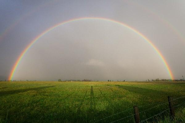 重疾險法院能強(qiáng)制執(zhí)行嗎?重大疾病保險一年多少錢？
