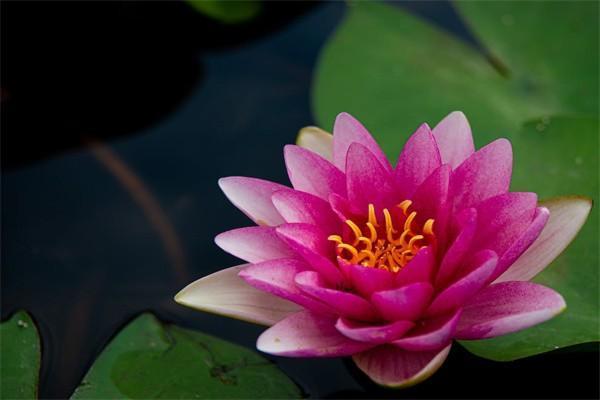 獨生子女證65歲退休后能領取多少錢？看完這篇文章你就知道了