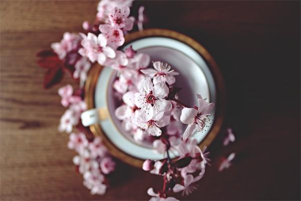 保險(xiǎn)的本質(zhì)是什么？購(gòu)買(mǎi)技巧是什么？