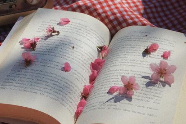 新華保險(xiǎn)分紅20年后取可信嗎？有什么投保規(guī)則？