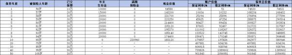中國人壽養(yǎng)老年金保險優(yōu)質產品介紹