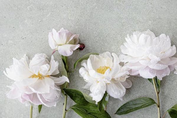 江蘇農(nóng)村養(yǎng)老保險(xiǎn)交哪個(gè)檔次最劃算？有哪些檔次？