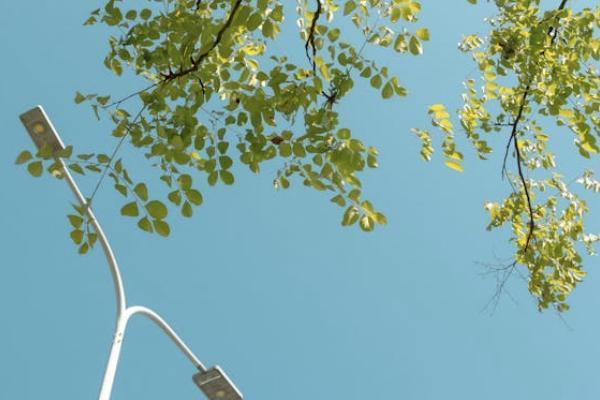 意外險是醫(yī)療保險報銷剩下的嗎？報銷流程是什么？