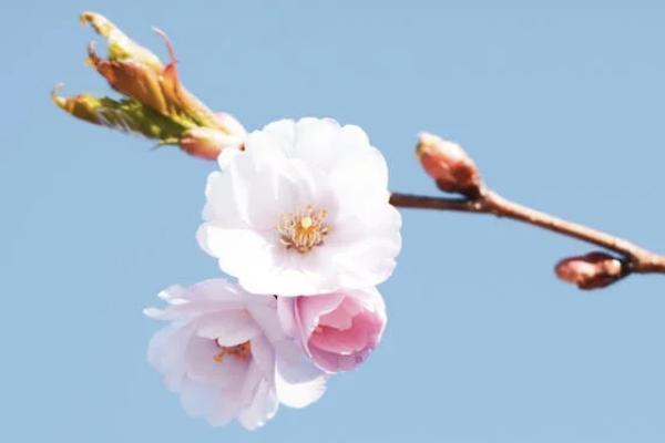 南京寧惠保保險(xiǎn)范圍是什么？哪些情況不能報(bào)銷？