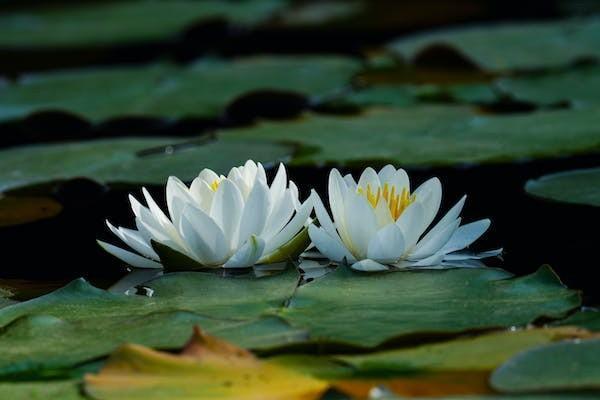 一分錢不交60歲能領養(yǎng)老金嗎？以長沙為例
