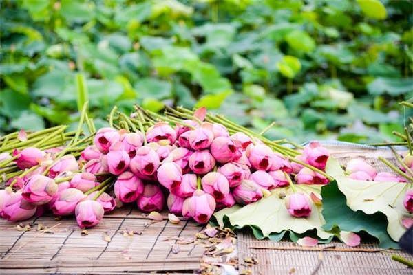 奔馳a200l保險費(fèi)用明細(xì)，需要花費(fèi)多少？一起來看看吧！