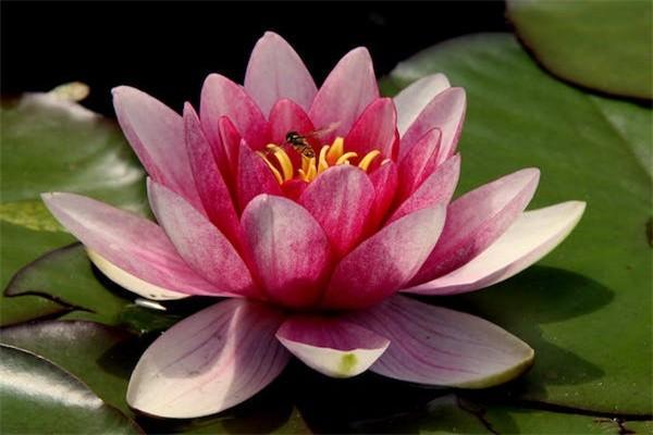 私立醫(yī)院自費可以報銷嗎